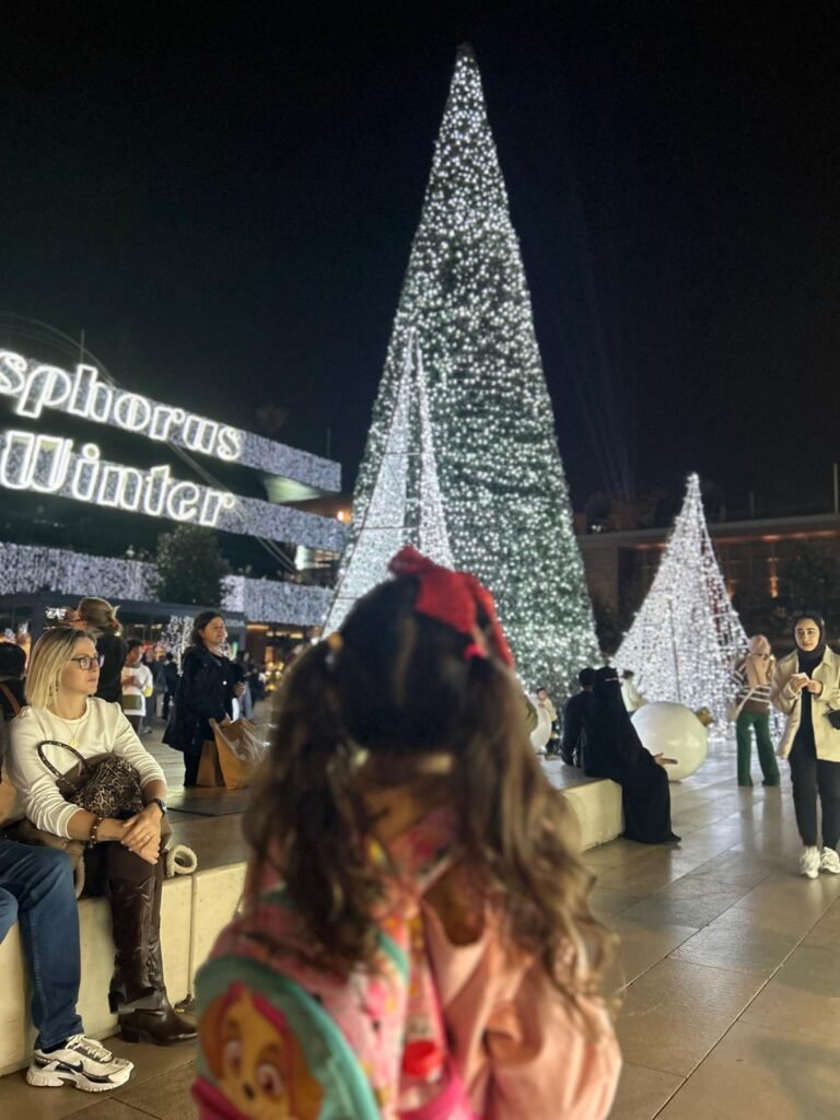 European Christmas markets with kids in Romania